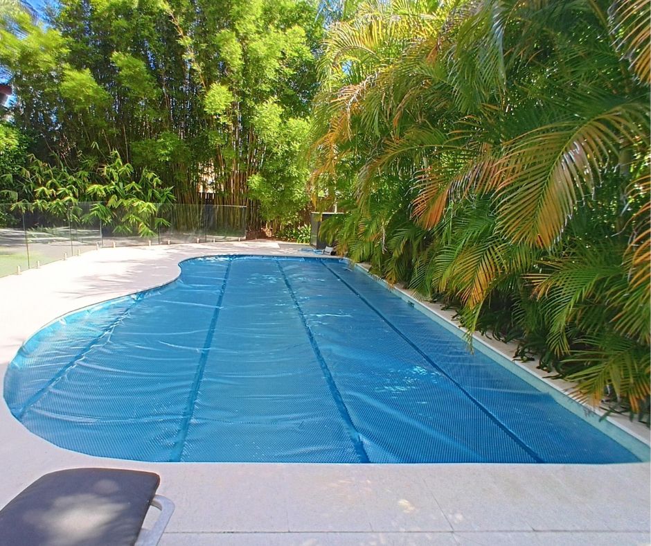 Palms surrounding pool edge South Turramurra NSW